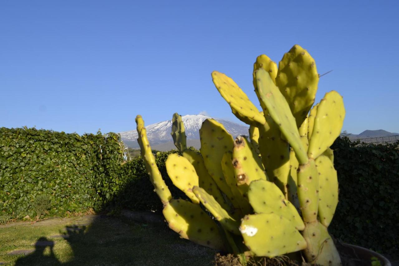 Good Morning Etna Bed & Breakfast Bronte Eksteriør bilde