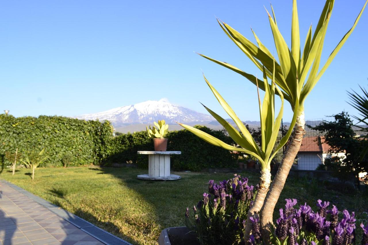 Good Morning Etna Bed & Breakfast Bronte Eksteriør bilde