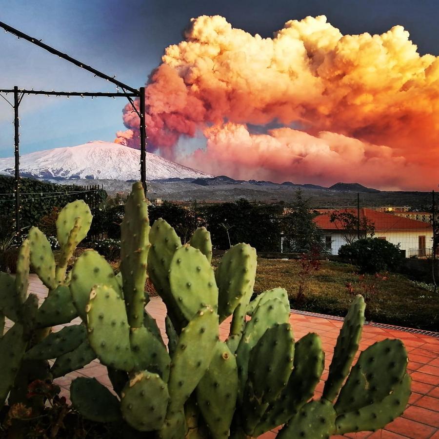 Good Morning Etna Bed & Breakfast Bronte Eksteriør bilde