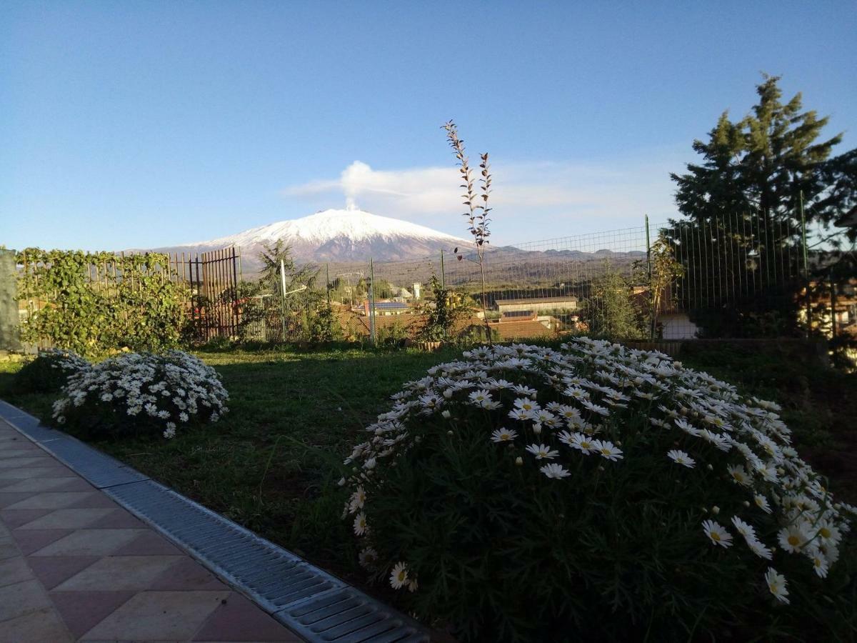 Good Morning Etna Bed & Breakfast Bronte Eksteriør bilde
